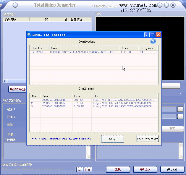 youtubevideoconverter_gilisoft video editor_totalvideoconverter