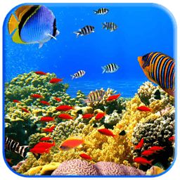 win7热带鱼水族箱屏幕保护程序_热带鱼水族箱屏幕保护程序 win7_热带鱼水族箱屏幕保护程序 win7
