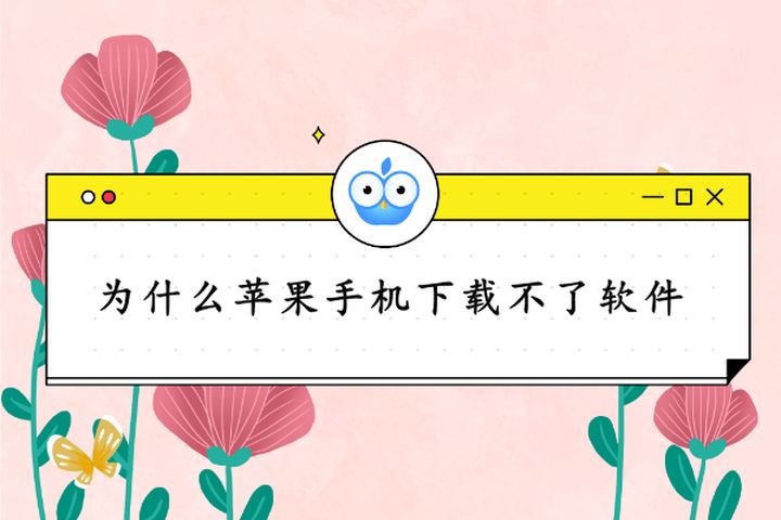 果师兄下载软件